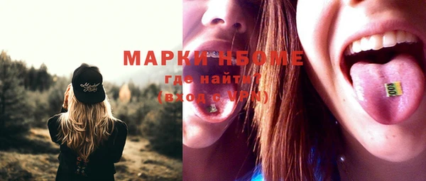 apvp Новозыбков