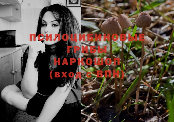 apvp Новозыбков