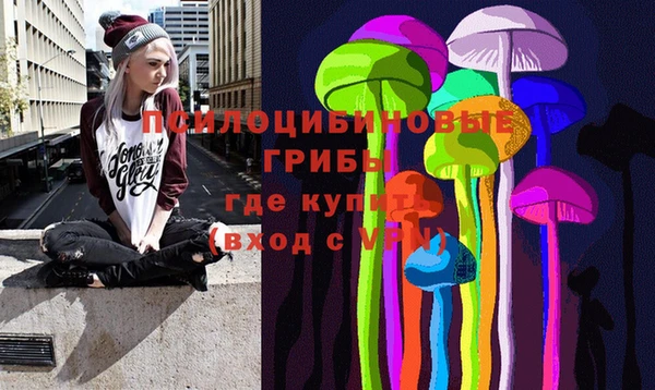 прущие грибы Няндома