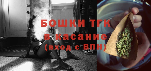 прущие грибы Няндома