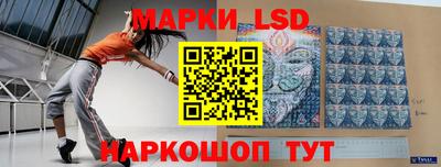 ПСИЛОЦИБИНОВЫЕ ГРИБЫ Гатчина