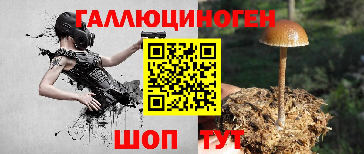 Псилоцибиновые грибы MAGIC MUSHROOMS Усолье-Сибирское