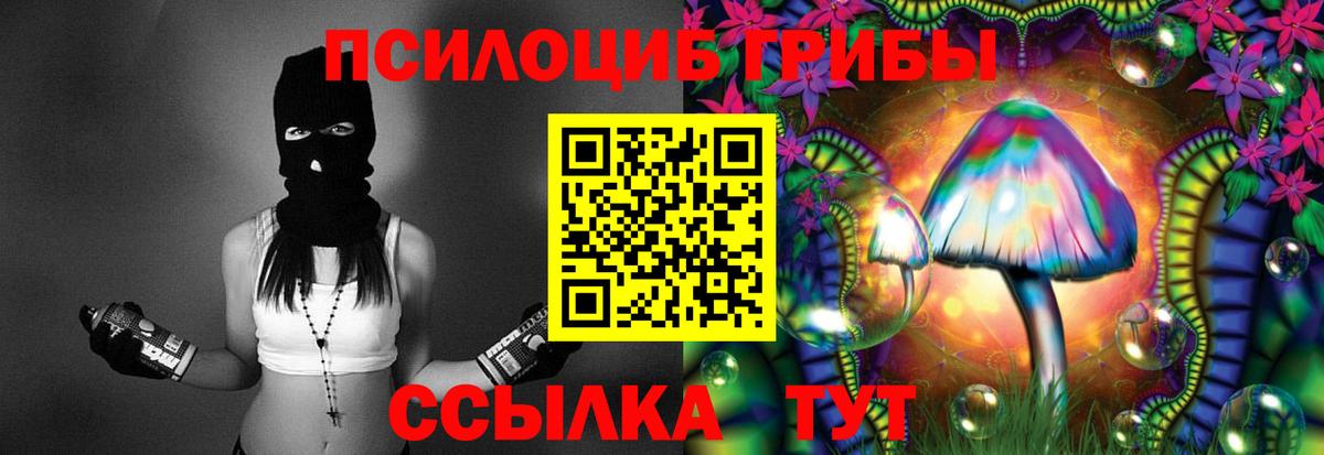 Галлюциногенные грибы Psilocybe Усолье-Сибирское